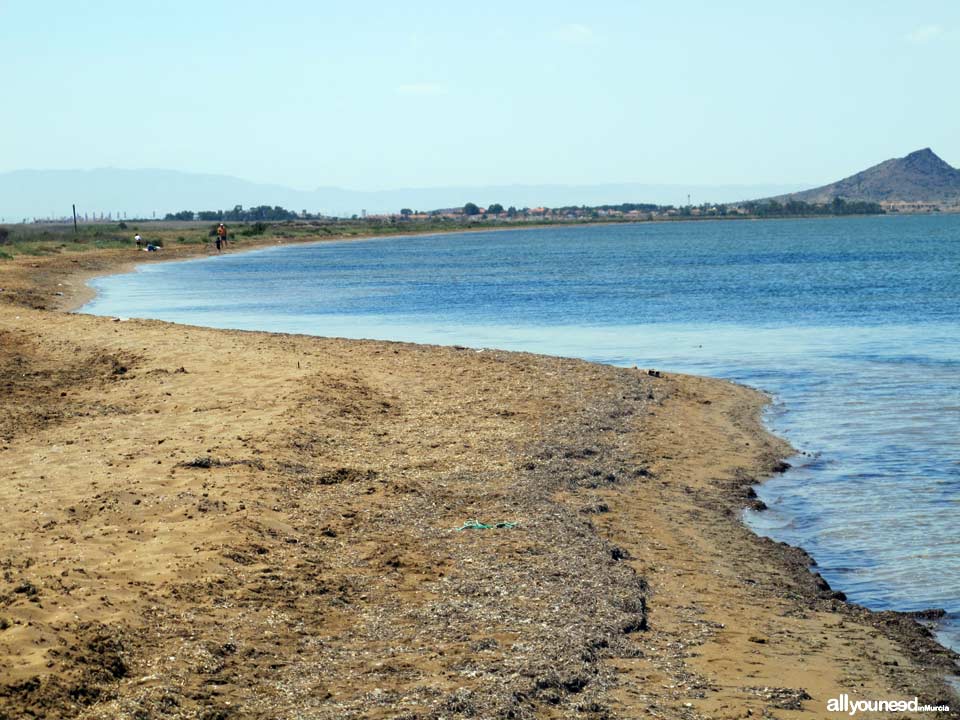 Playa el Arenal. Los Nietos