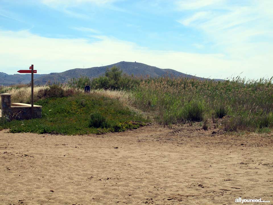 Playa el Arenal. Los Nietos