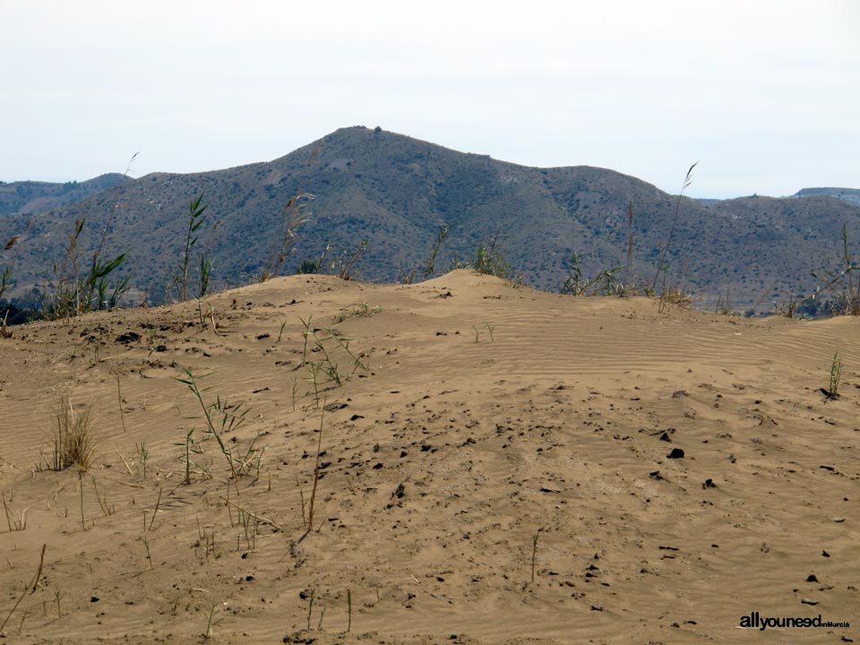 Lo Poyo beach