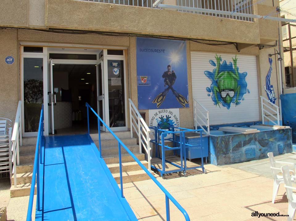 Centro de Buceo del Sureste - Bachisub