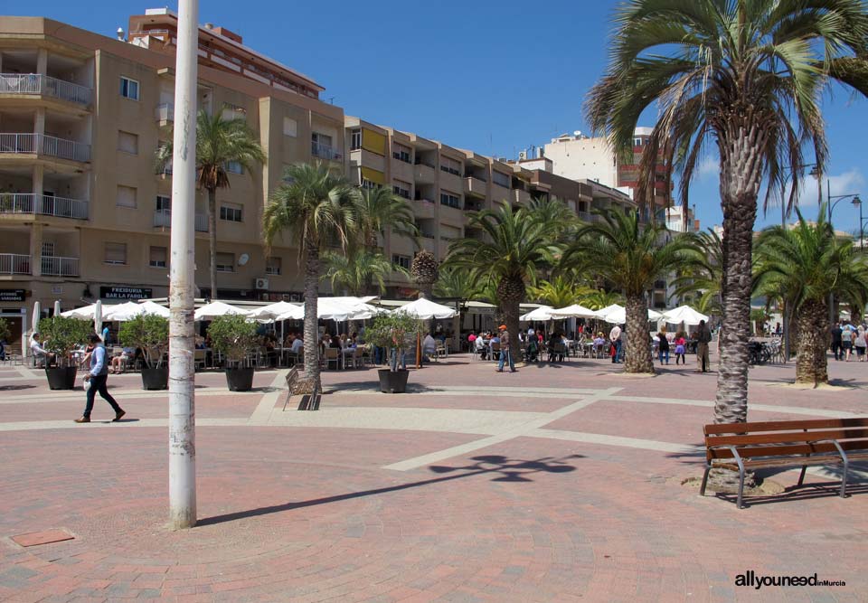 Bars of Puerto de Mazarrón