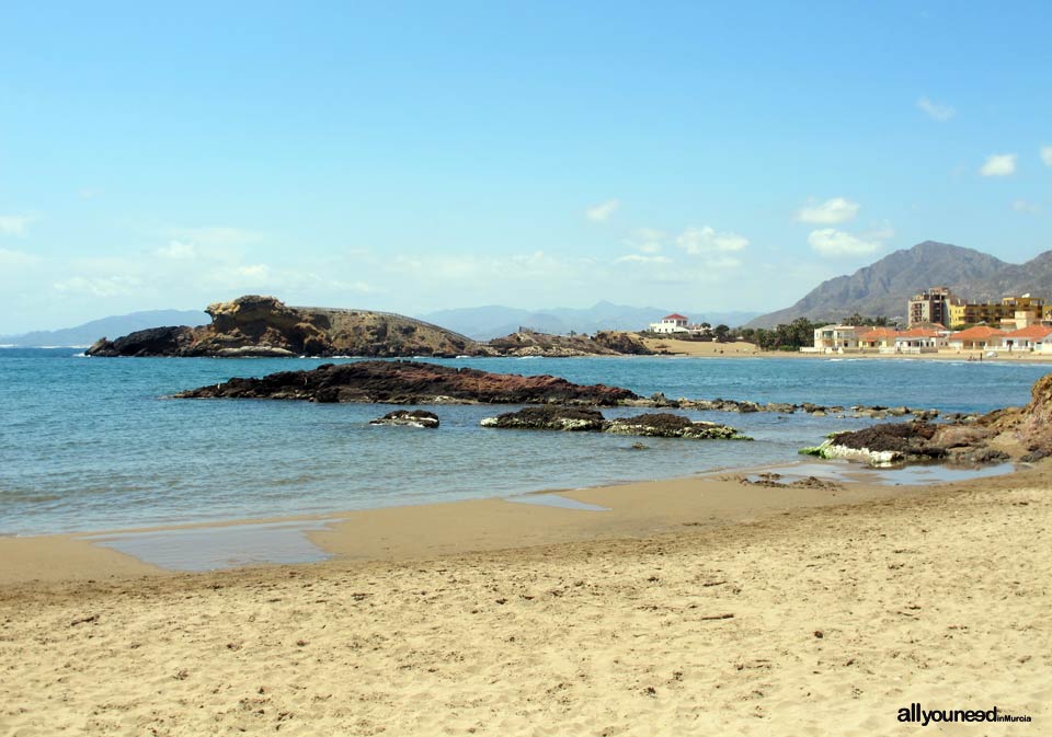 Playa la Ermita