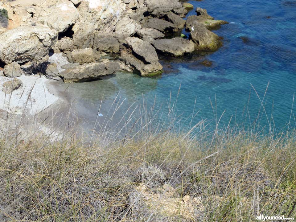 Cala Desnuda. Playa nudista en Mazarrón