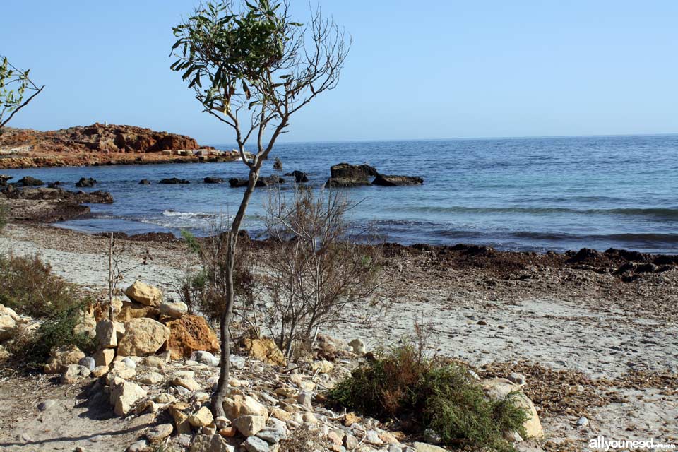 Cala Leño. Playas nudista en Mazarrón