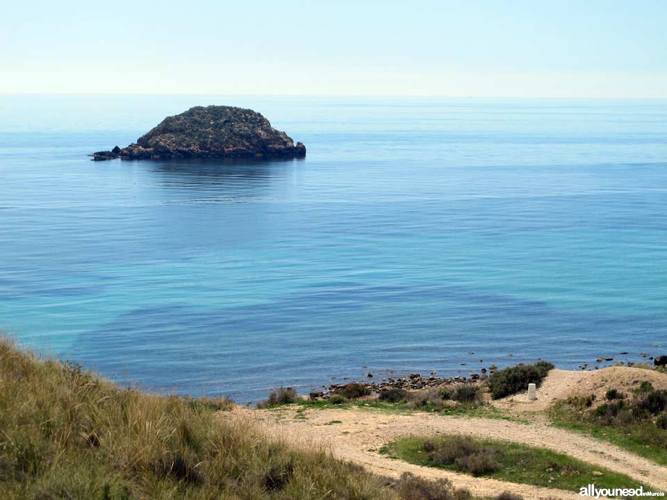 Playa Amarilla / de la Puñeta. Playas de Mazarrón