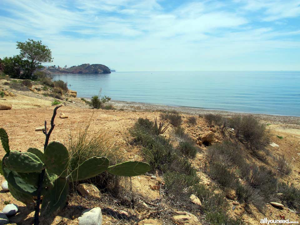 Puñeta Beach/ Amarilla Beach