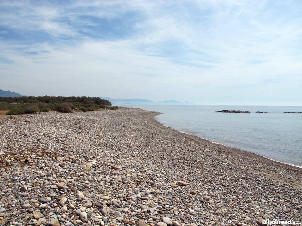 Playa El Ballenato