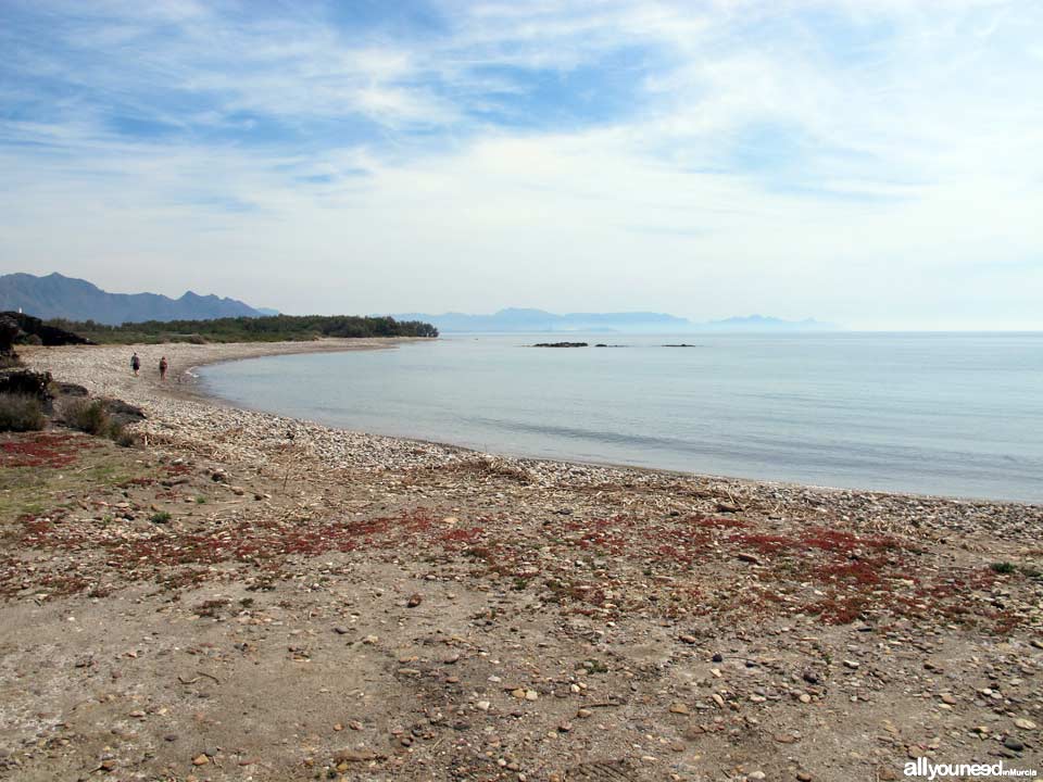 Playa El Ballenato