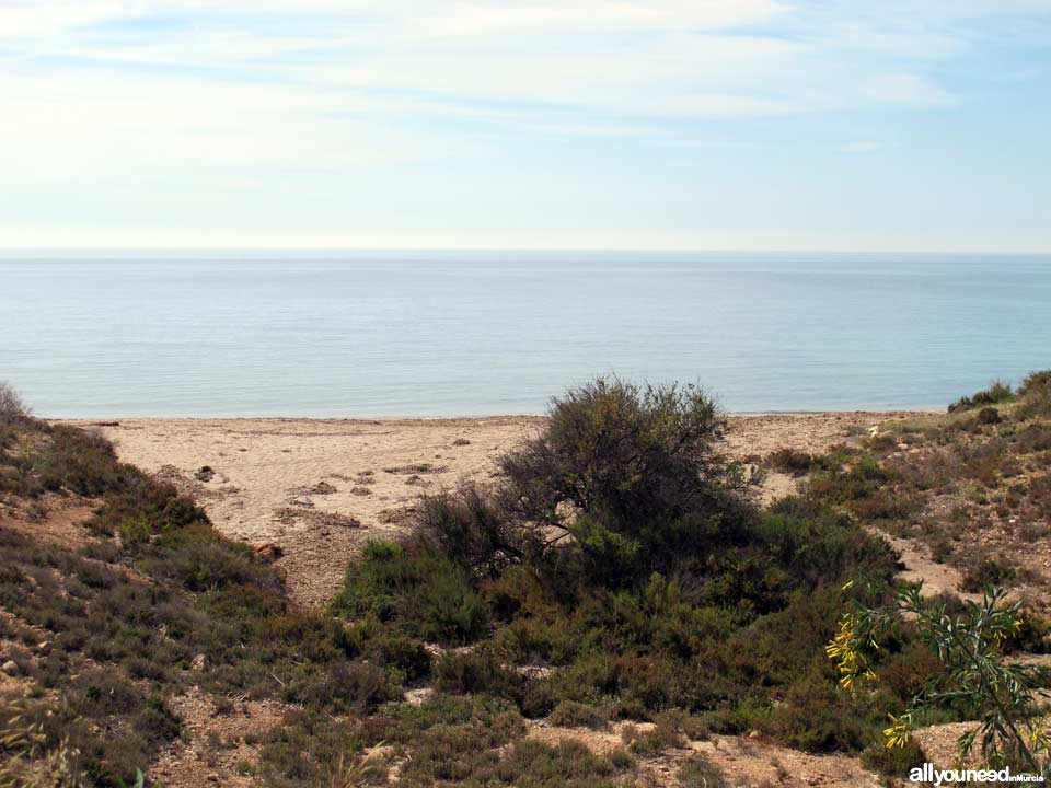 Playa Barranco Ancho. Playas de Mazarrón