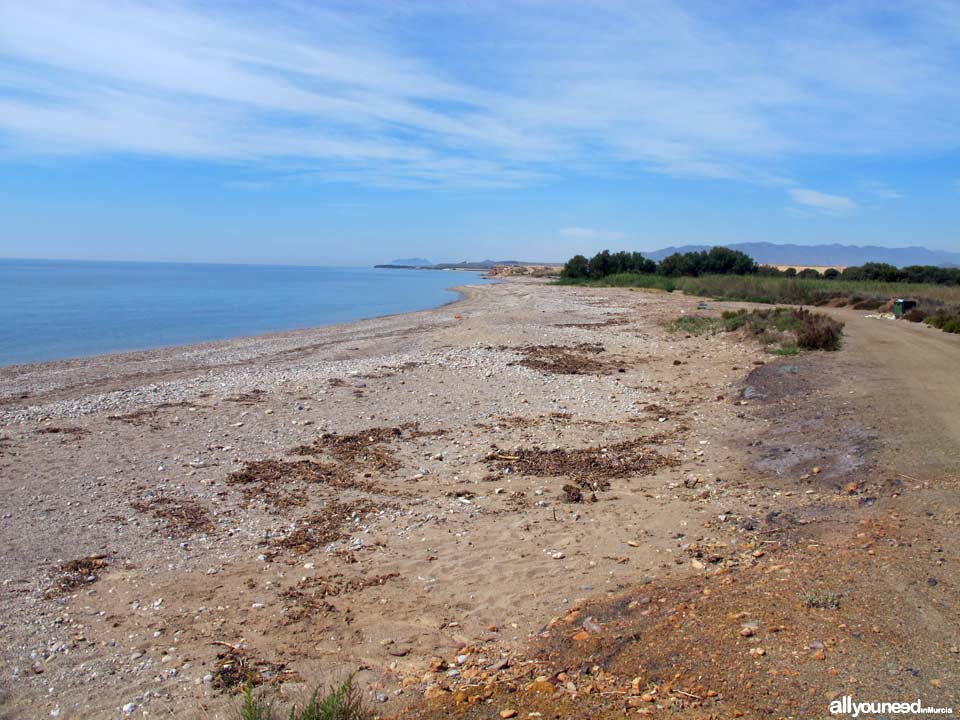 Playa Cabezo de la Pelea. Playas de Mazarrón