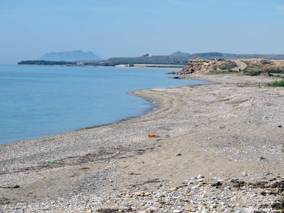 Playa Cabezo de la Pelea. Playas de Mazarrón