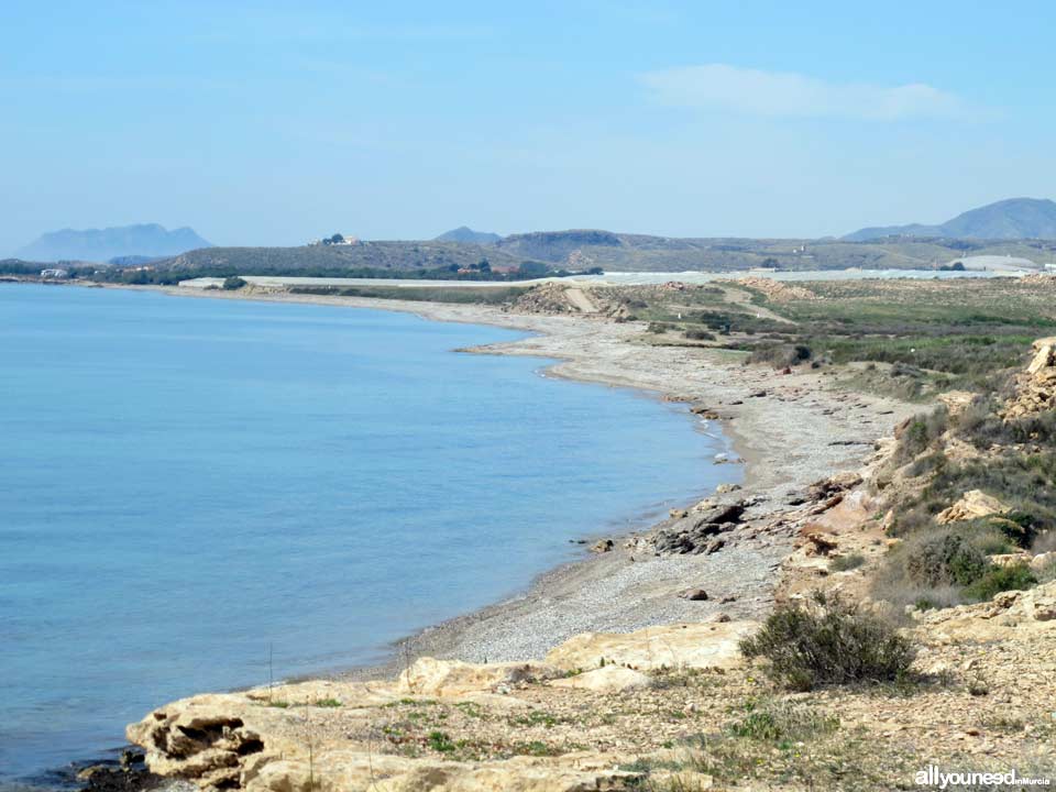 Playa Cabezo de la Pelea. Playas de Mazarrón