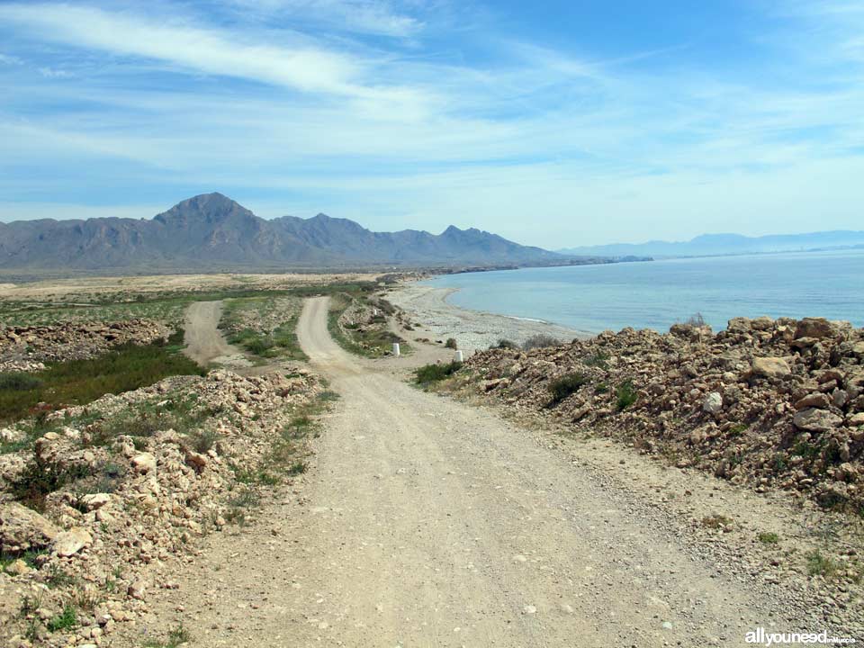 Playa Cabezo de la Pelea. Playas de Mazarrón