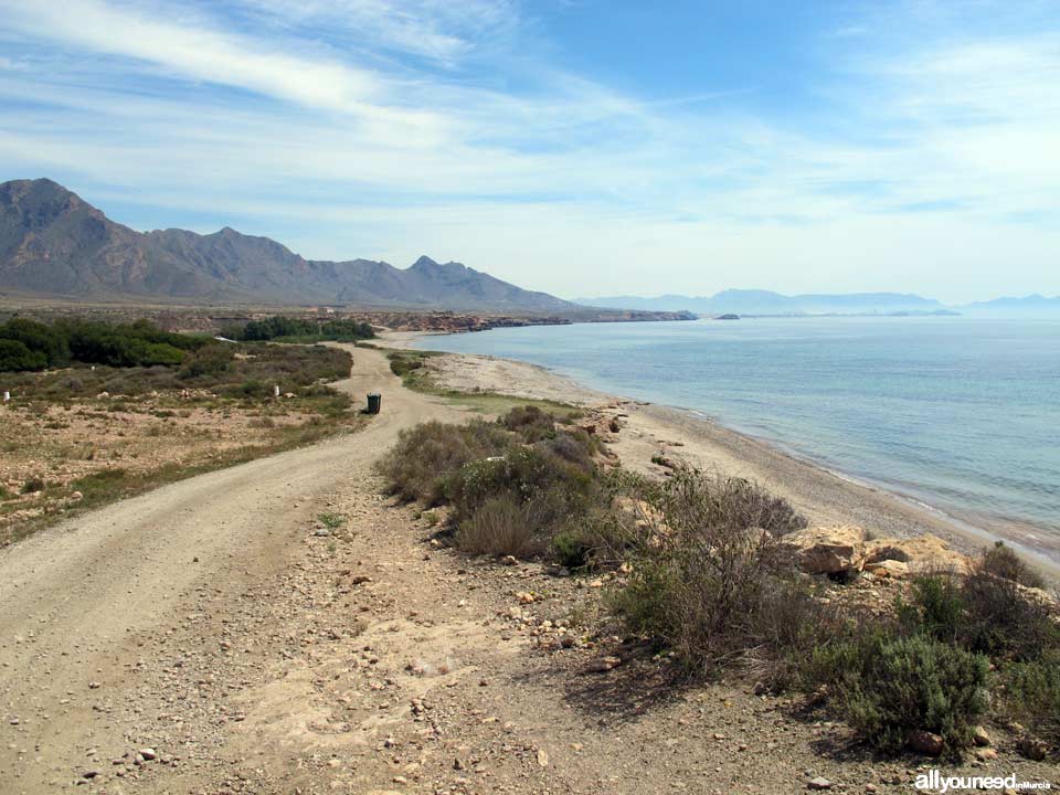 Playa Cabezo de la Pelea. Playas de Mazarrón