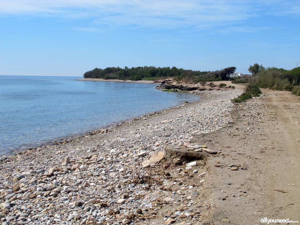 Playa Las Chapas