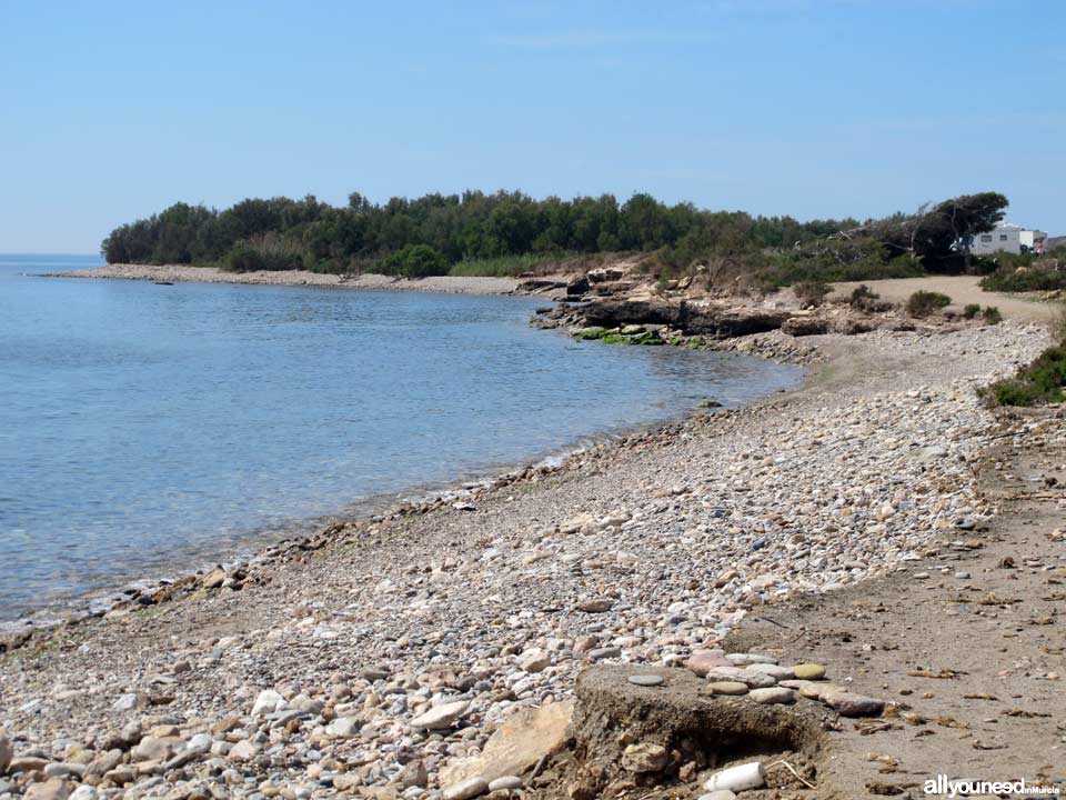 Playa Las Chapas