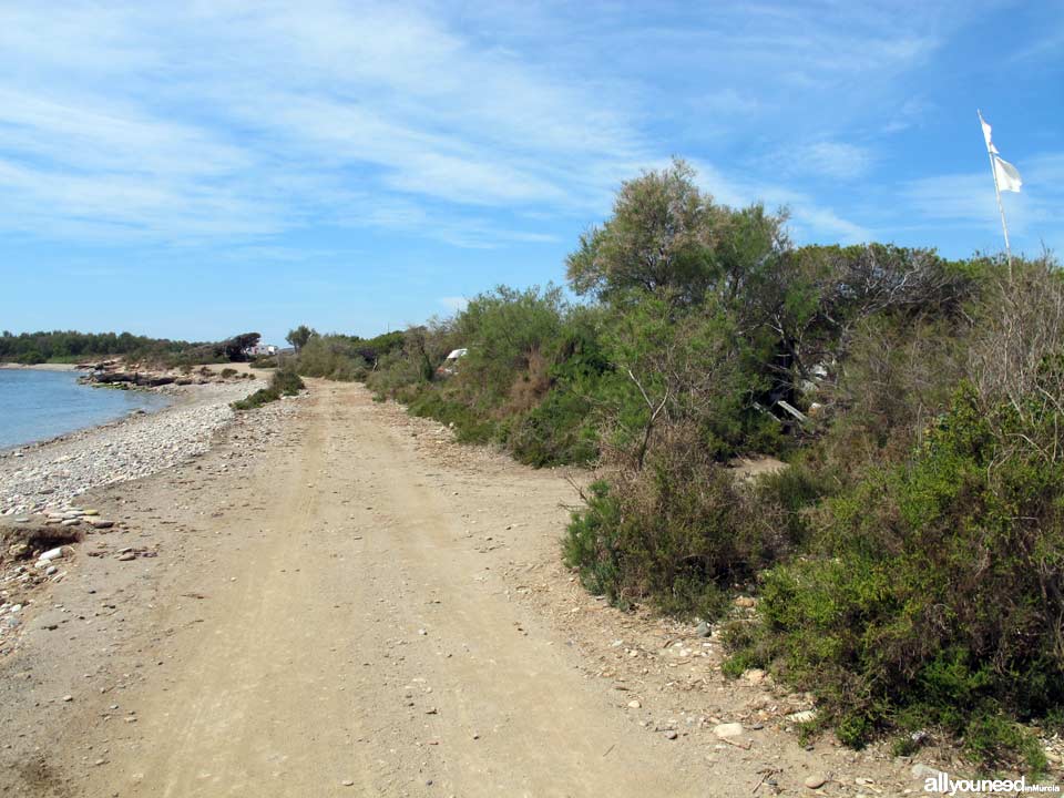 Playa Las Chapas