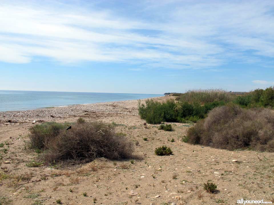 Playa Las Covaticas