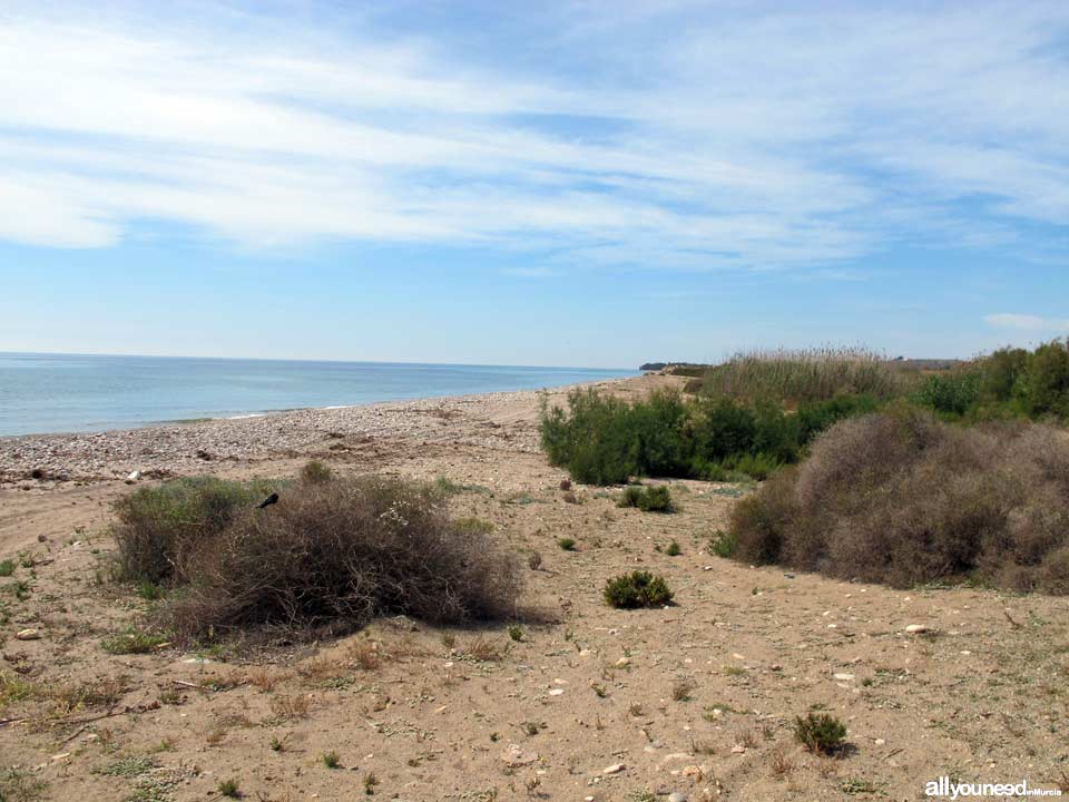 Playa Las Covaticas en Mazarrón