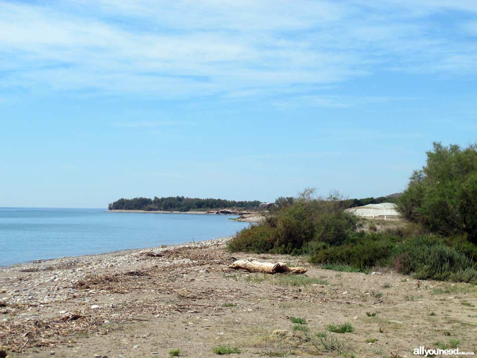 Playa Las Covaticas en Mazarrón