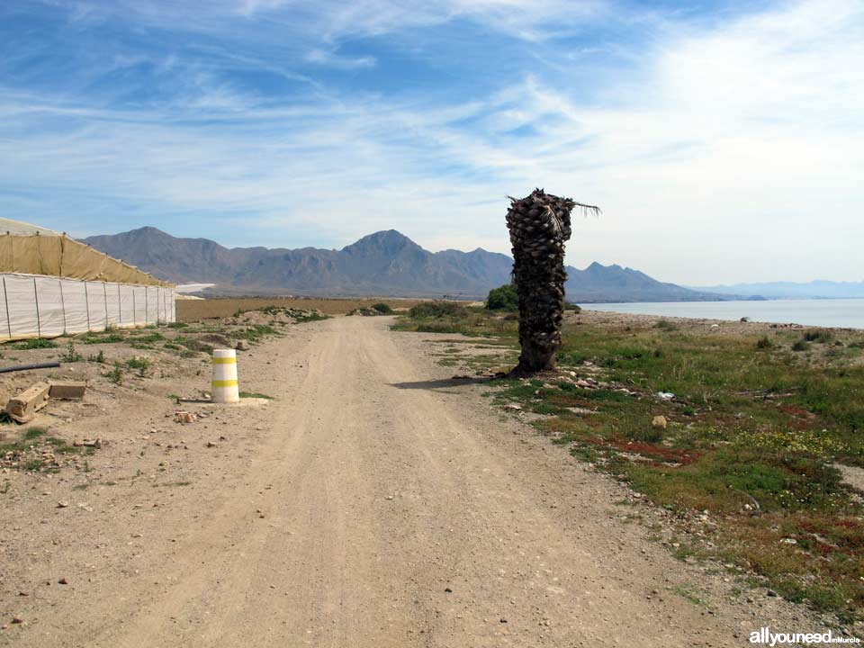 Playa Las Covaticas en Mazarrón