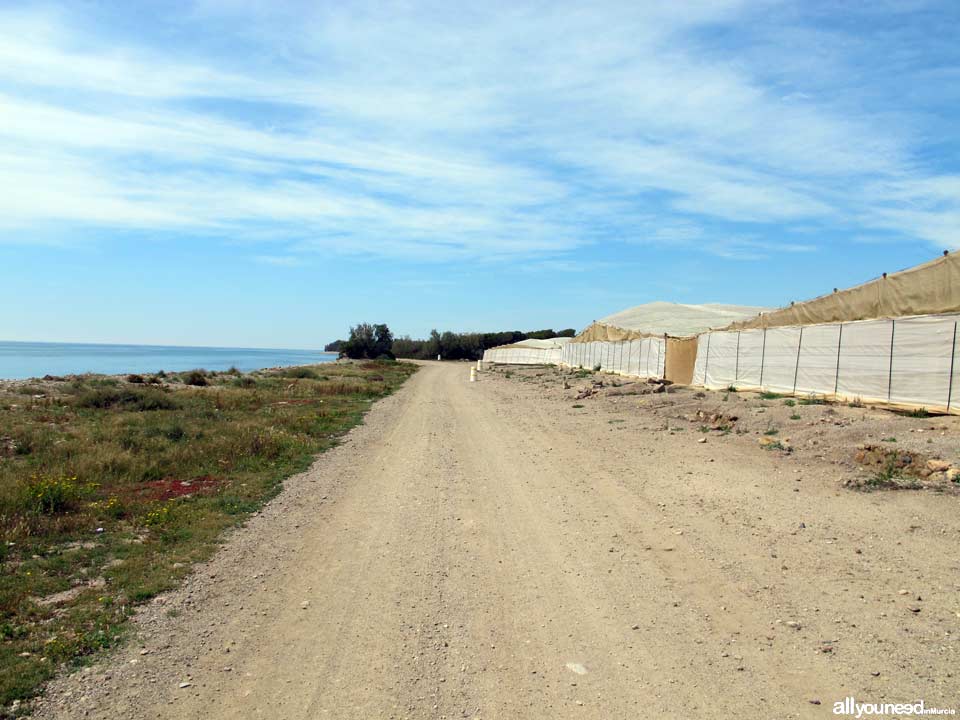 Playa Las Covaticas en Mazarrón