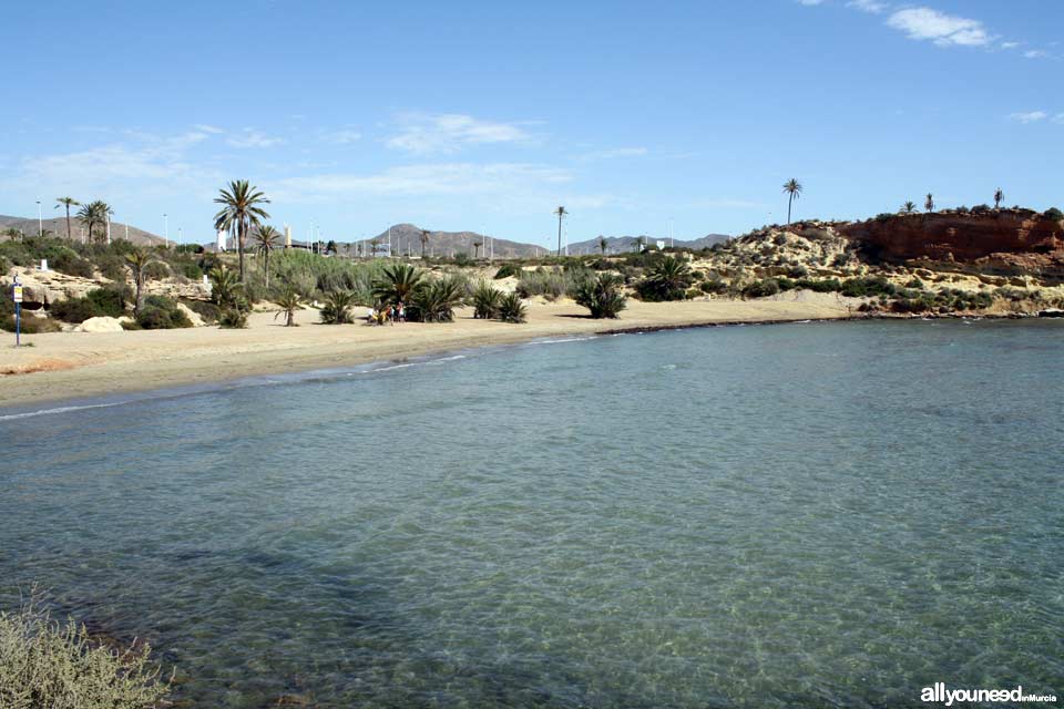 Playa Negra