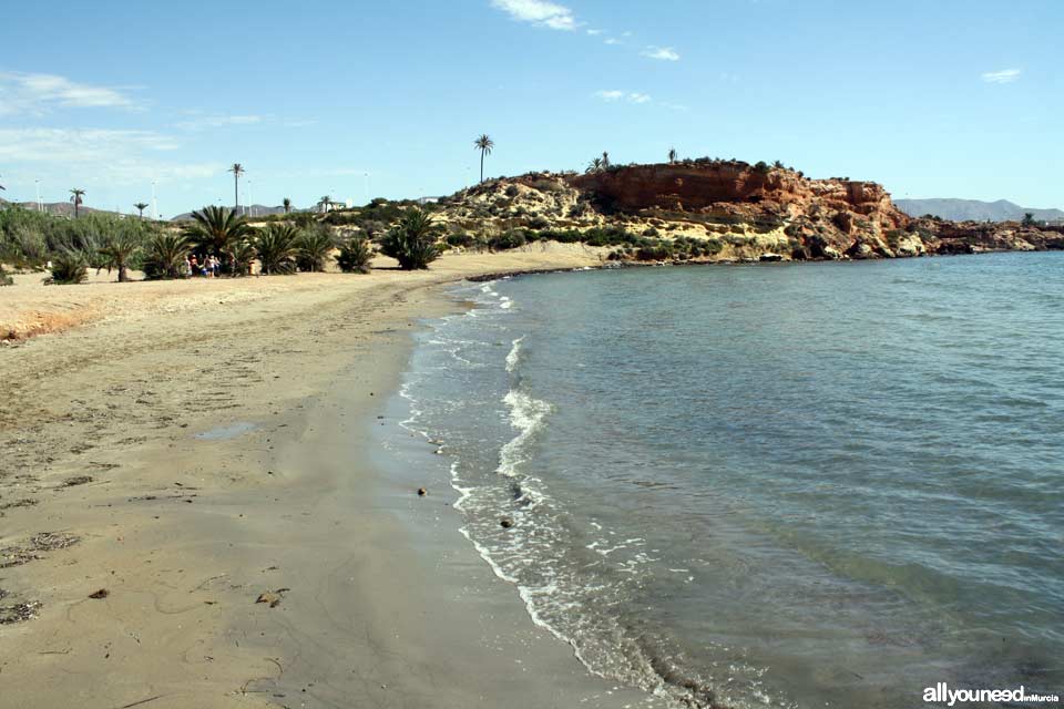 Playa Negra