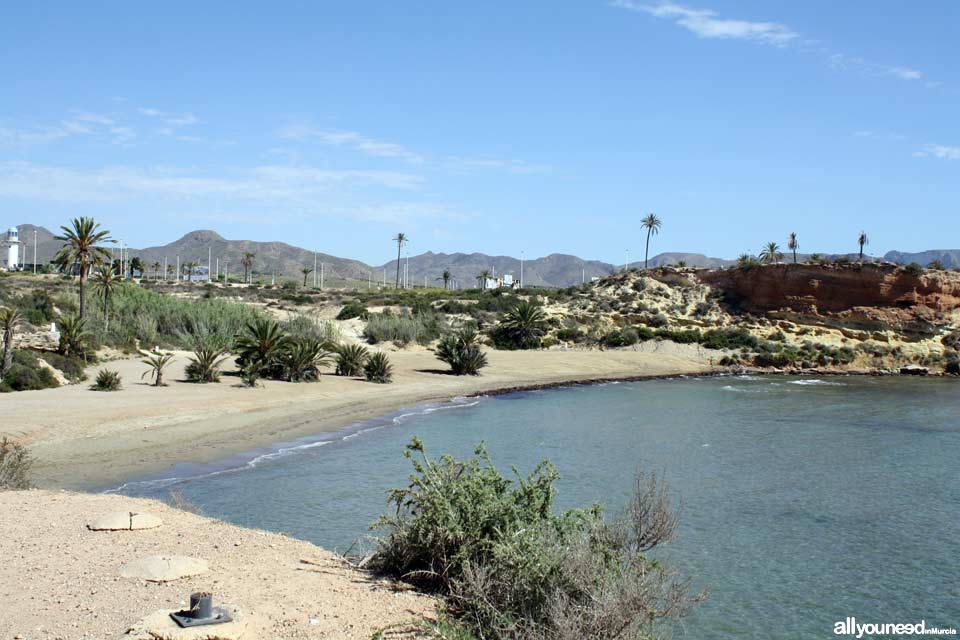 Playa Negra