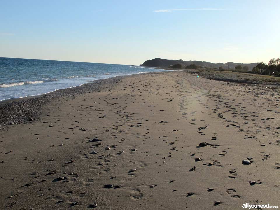 Parazuelos Beach in Mazarrón