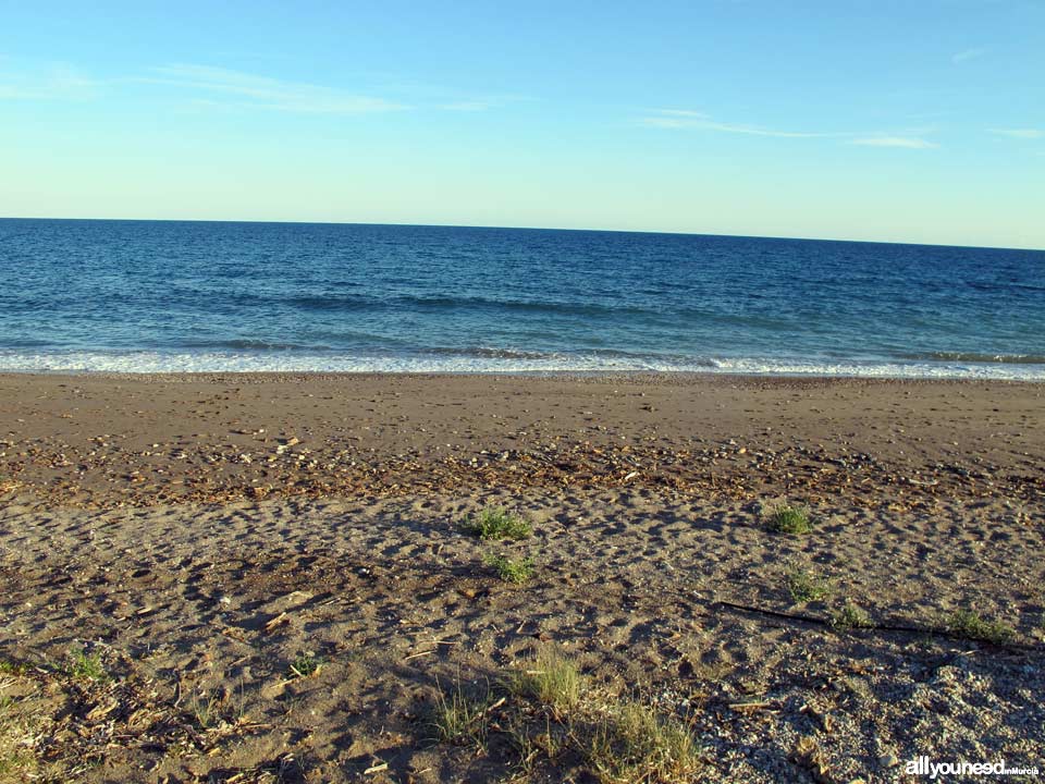 Playa Parazuelos en Mazarrón