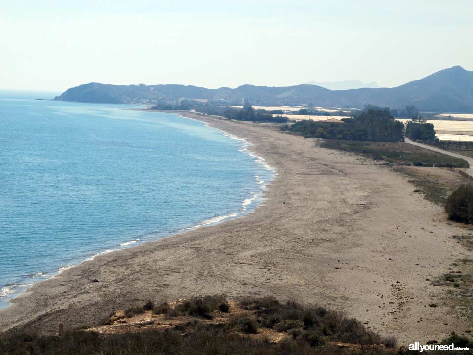 Parazuelos Beach in Mazarrón