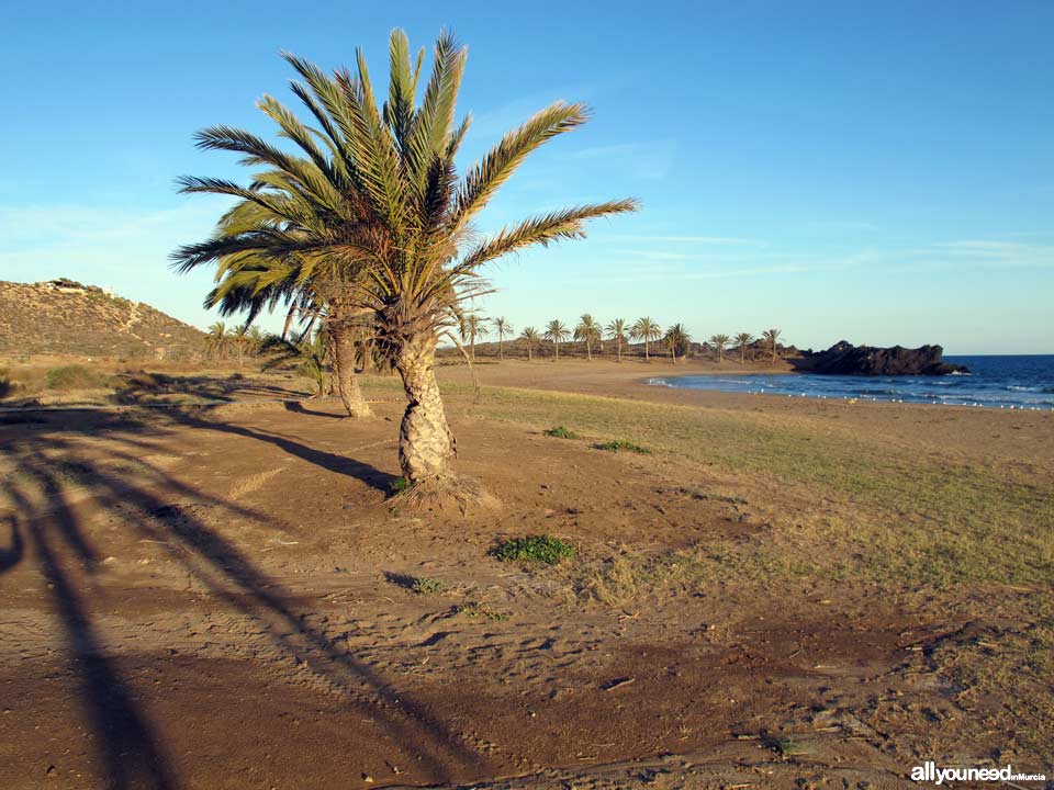 Percheles Beach