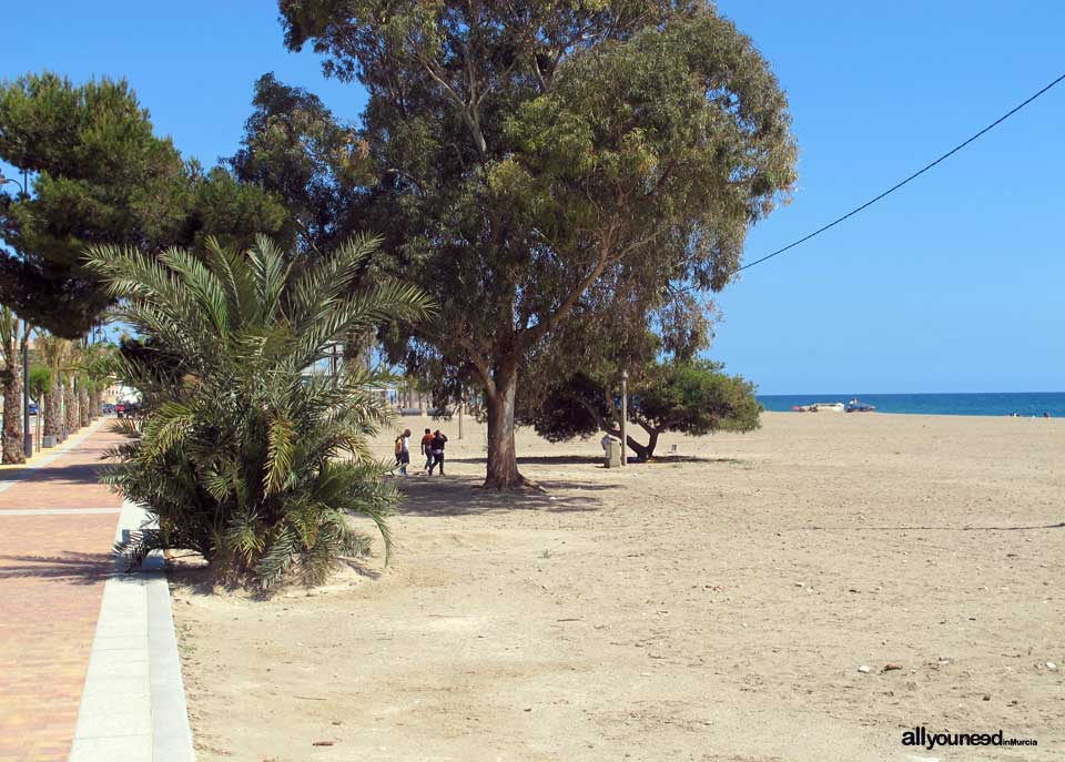 Bolnuevo Beach