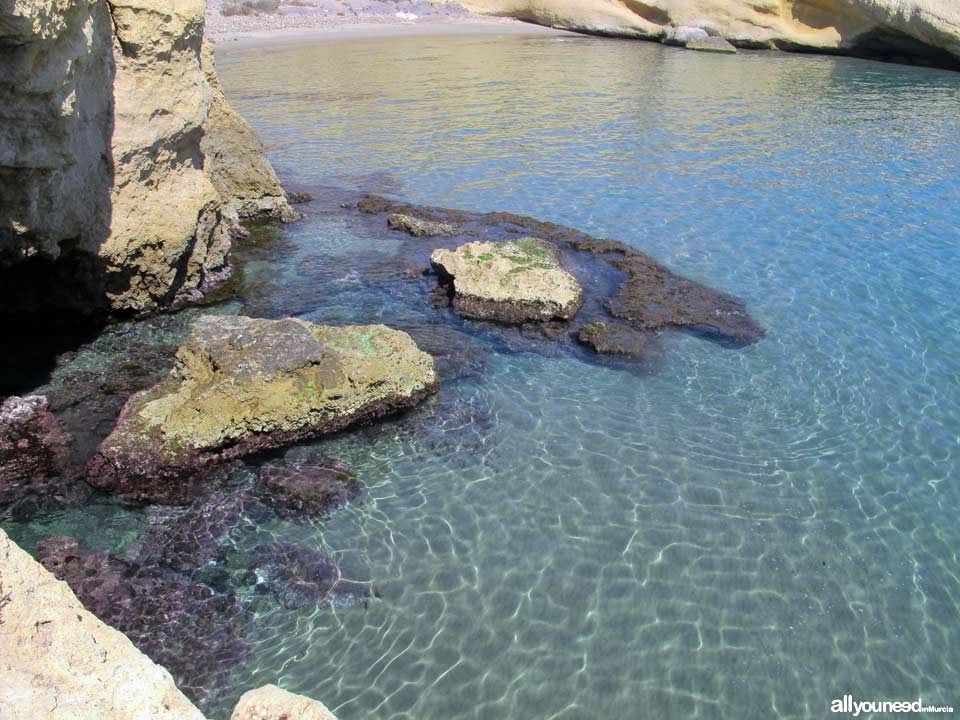 Playa del Palomarico en Mazarrón