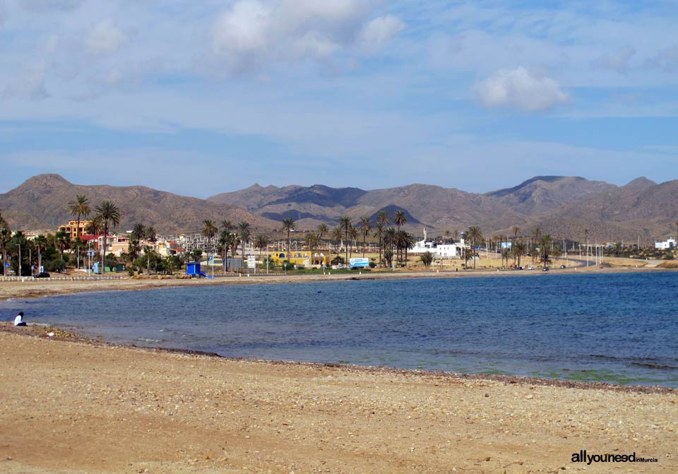 Resultado de imagen de alamillo playa murcia