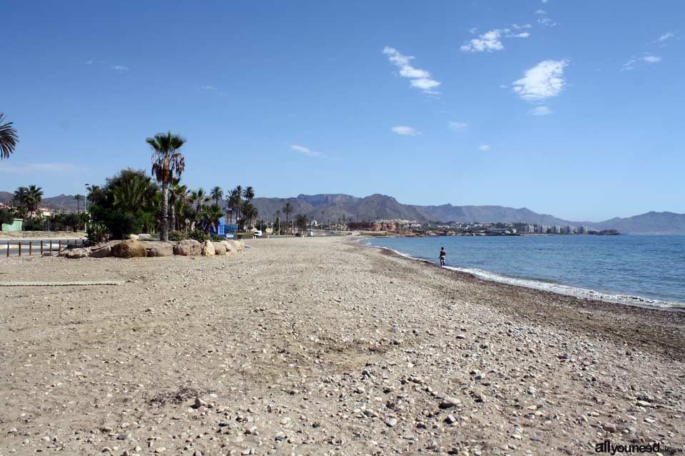 Playa del Alamillo