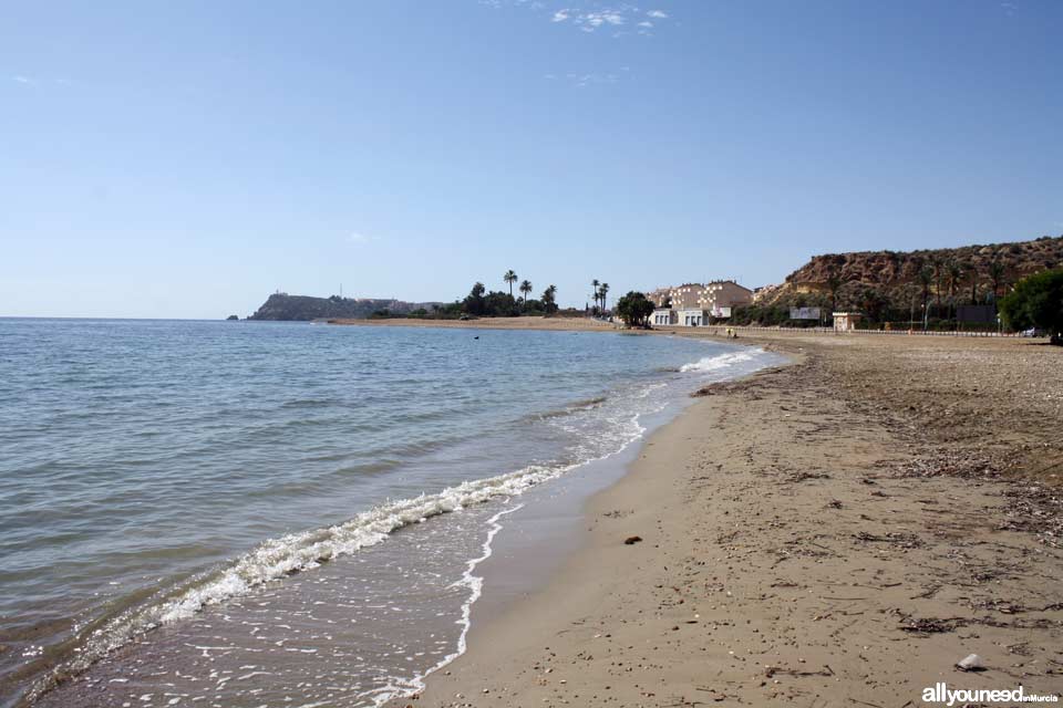 Playa del Alamillo