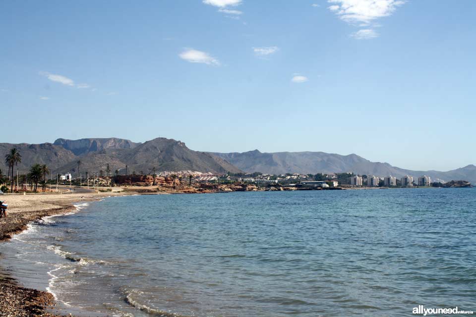 Playa del Alamillo