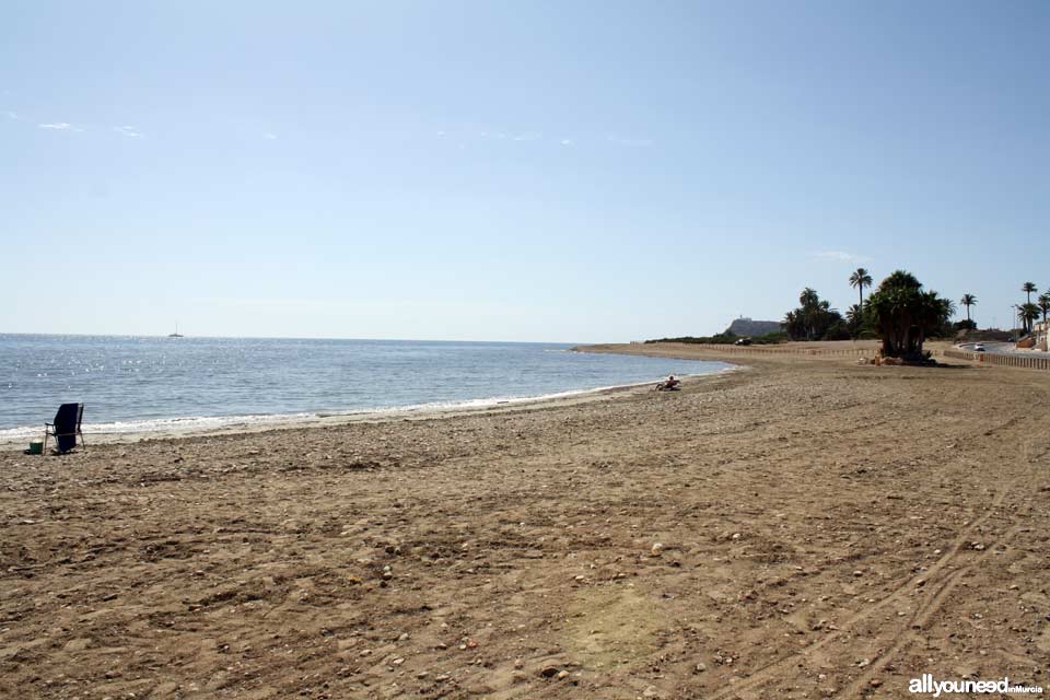 Playa del Alamillo