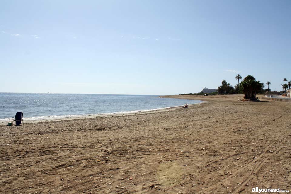 Alamillo Beach