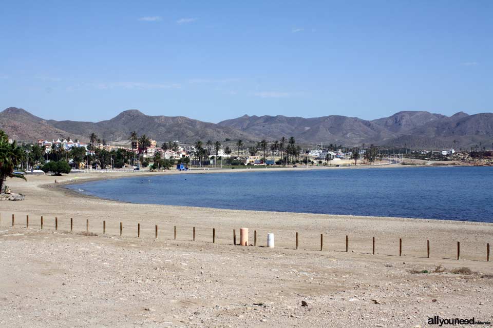 Playa del Alamillo