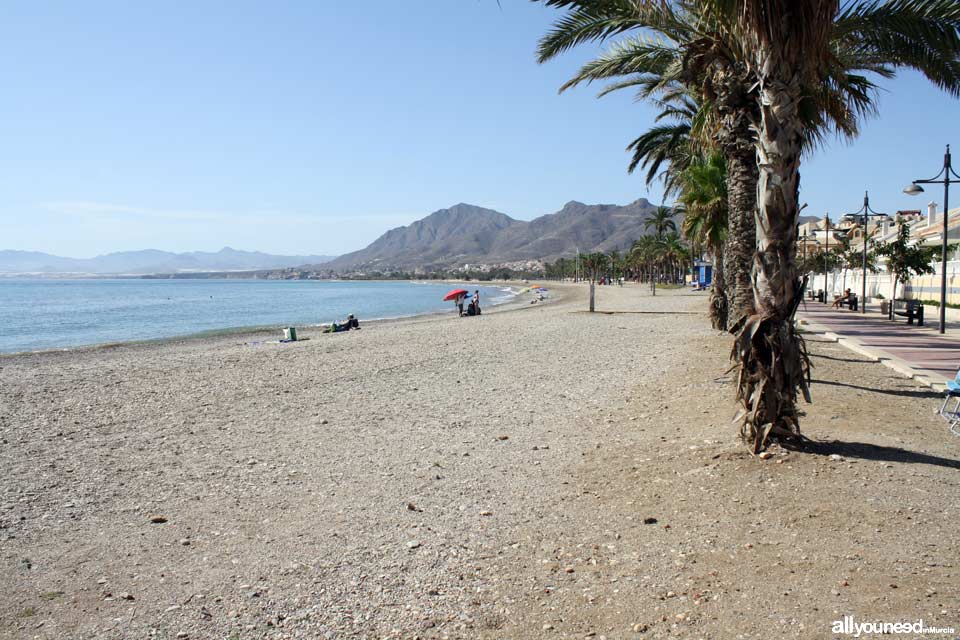El Castellar Beach