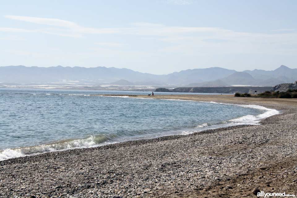 Playa del Castellar