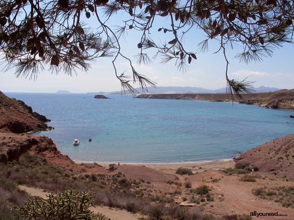 Playa del Rincón. Playa nudista en Mazarrón