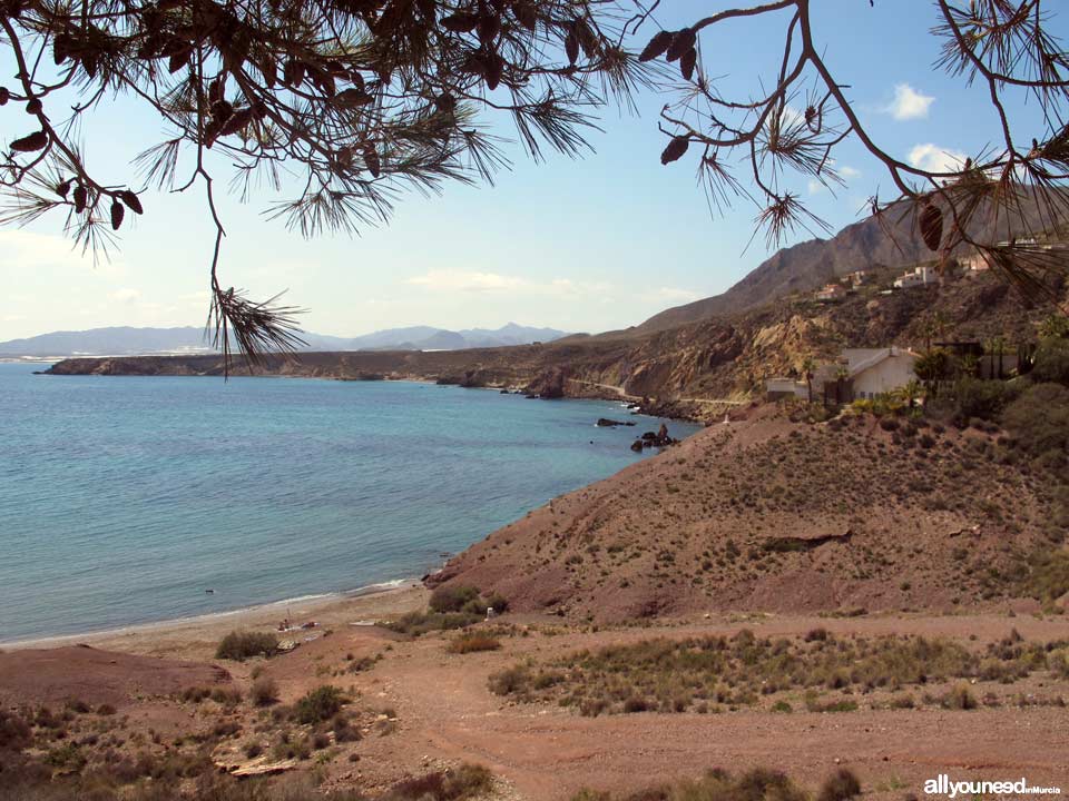 Playa del Rincón. Playa nudista en Mazarrón