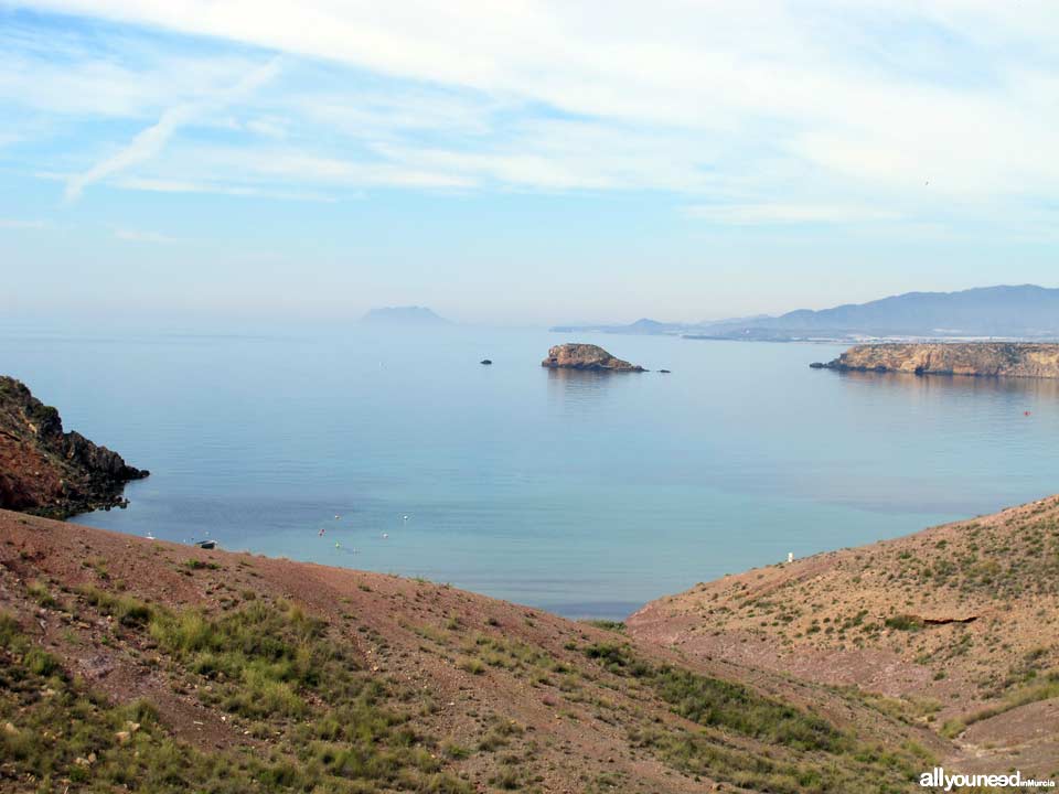 Playa del Rincón. Playa nudista en Mazarrón