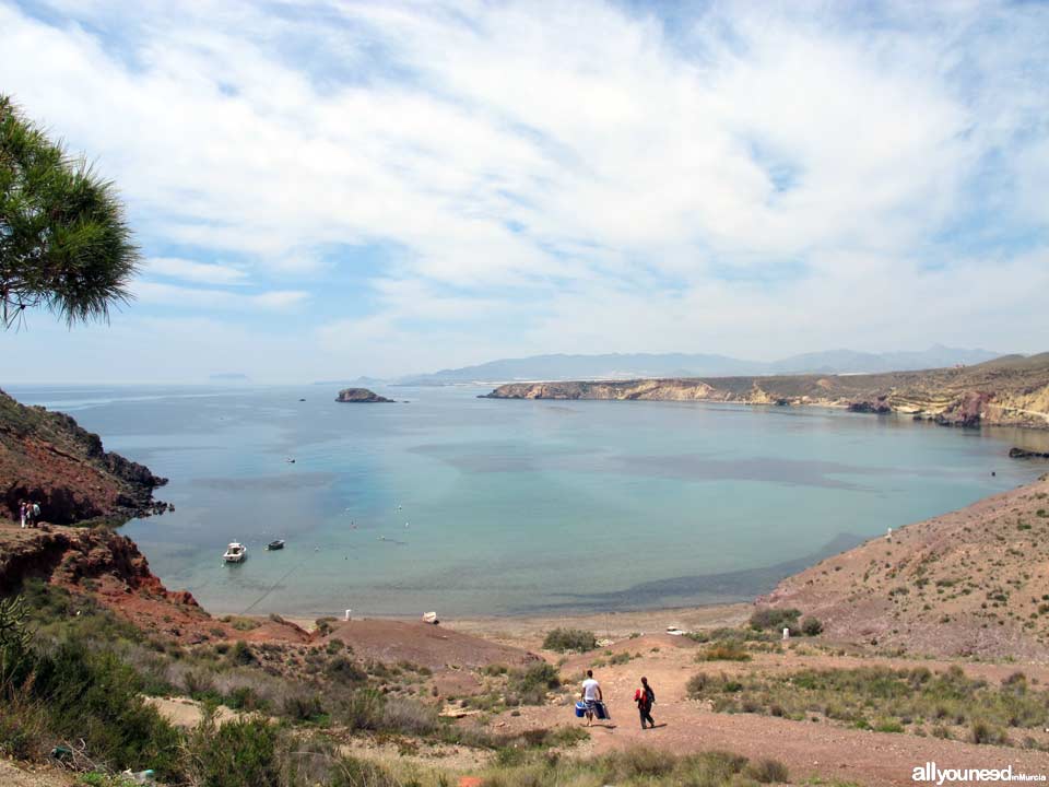 Playa del Rincón. Playa nudista en Mazarrón