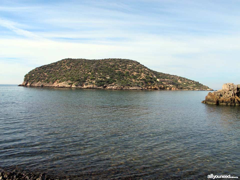 Playa La Isla. Playas de Mazarrón