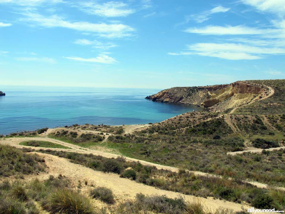 Cala Amarilla. Playas de Mazarrón